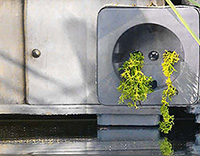 Fensterkunst 12